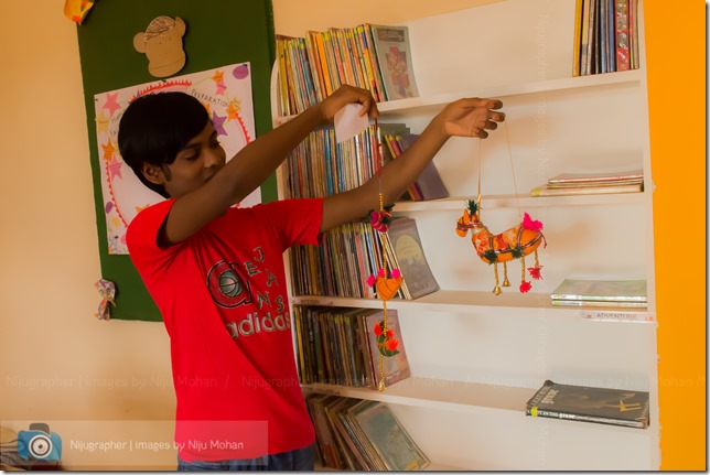 Nijugrapher-images-by-Niju_Mohan-1-D600-DSC_4608